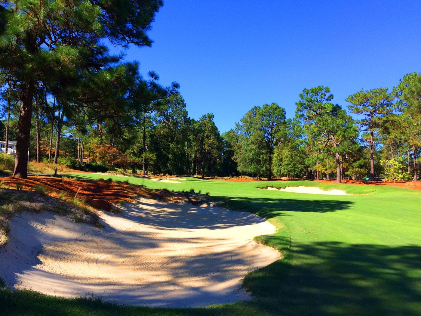 Tobacco Road Golf