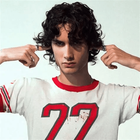 hobo johnson