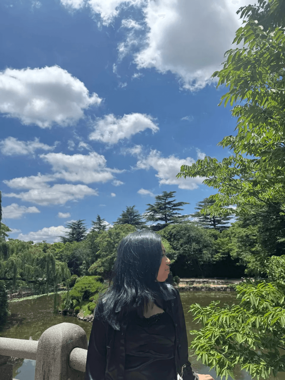 Audrey by a pond with cherry blossoms